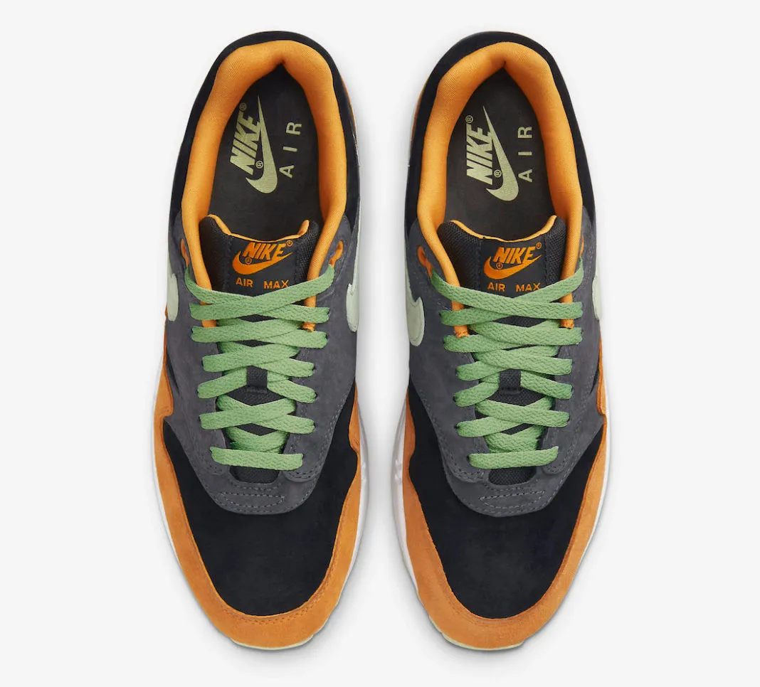 Nike Air Max 1 Ugly Duckling Anthracite Honeydew Black Kumquat DZ0482-001