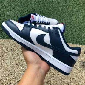 Nike dunk low retrodd1391-400