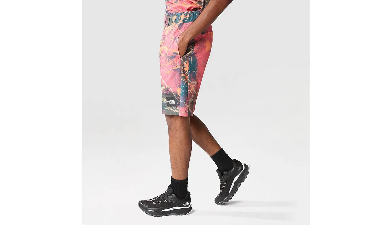 The North Face M Summer Logo Shorts