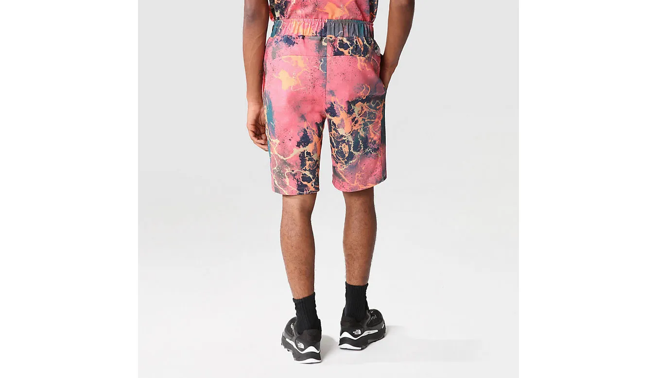 The North Face M Summer Logo Shorts