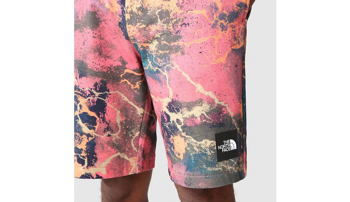 The North Face M Summer Logo Shorts